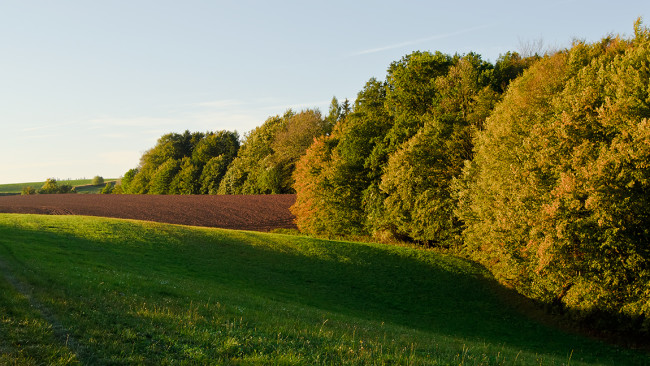 DSC_0113_20151003web