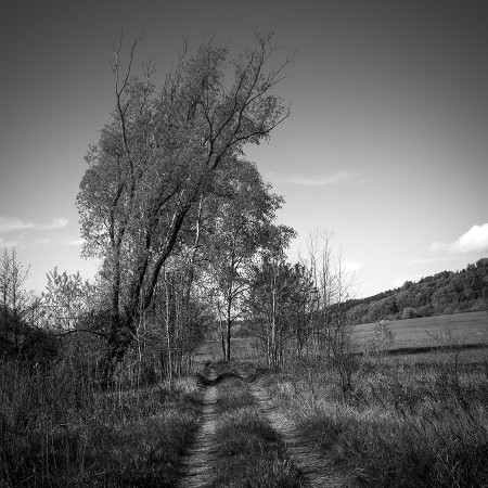 DSC_0005_20160508webbw