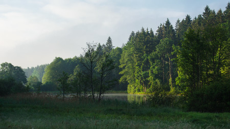 Přečtete si více ze článku „za humny …“ Pšeničkův rybník Lanškroun