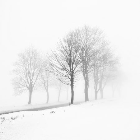 Přečtete si více ze článku Nové fotografie v galeriích