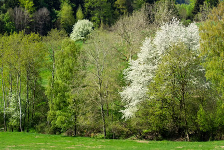 Přečtete si více ze článku Nové foto „Za humny – barevně“